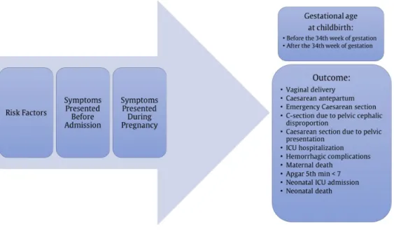 Fig. 3    Main information used to identify possible outcomes for an at-risk pregnancy