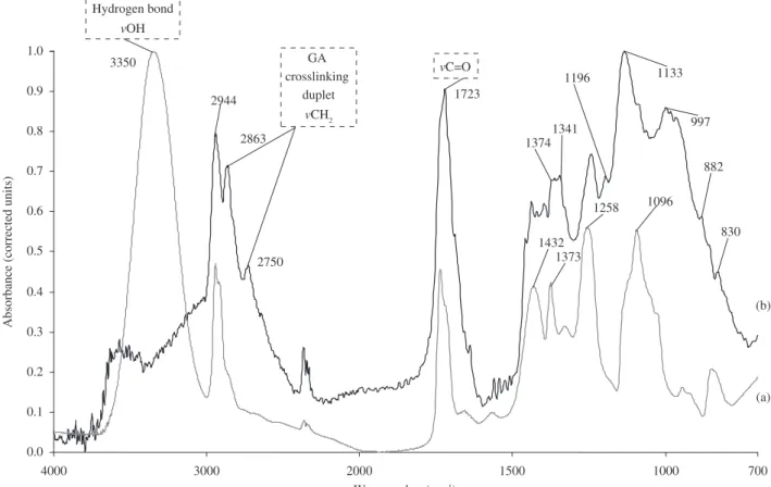 Figure 3. FTIR spectrum of PVA hydrogel a) pure PVA; and b) PVA hydrogel crosslinked with GA or PVA/ GA.