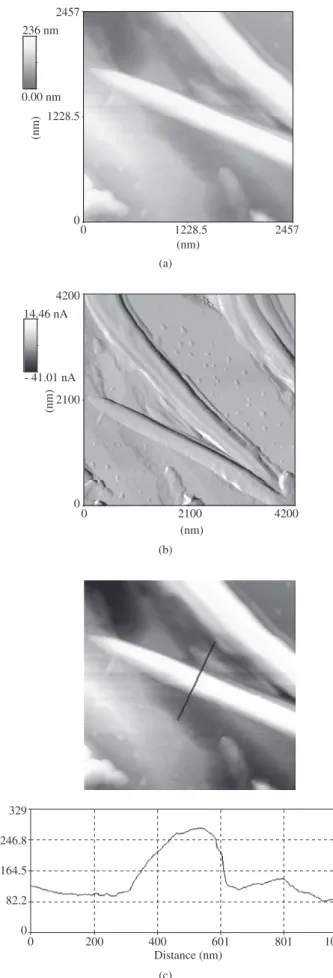 Figure 2. X ray diffraction profile of Co nanowire/AAM.