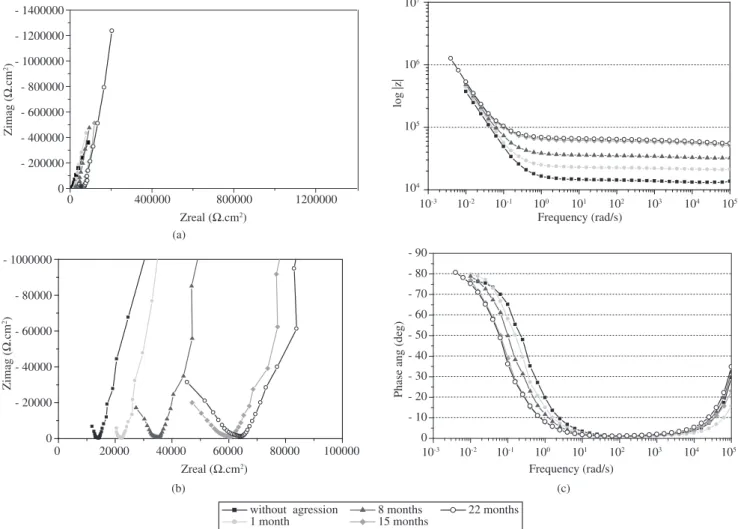 Figure 4. Impedance spectra evolution of concrete sample without silica fume (control) during 22 months of immersion in 3.5% NaCl: a) Nyquist diagram; 