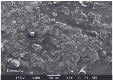 Figure 5. Microstructure in the DRX domain of 0.1 s -1  and at 450 °C.
