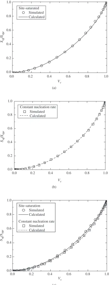 Figure 6. Total interface area per unit of volume, S VT /(2S VβF ) against time. 