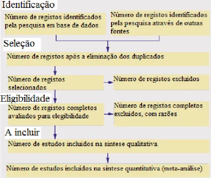 Figura 19 - Fluxo de informações através das diferentes fases de uma revisão sistemática   (adaptado de Moher et al, 2009) 