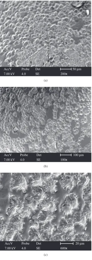 Figure 8. SEM Micrographs of a) POLA I; b) POLA II; and c) POLA III.