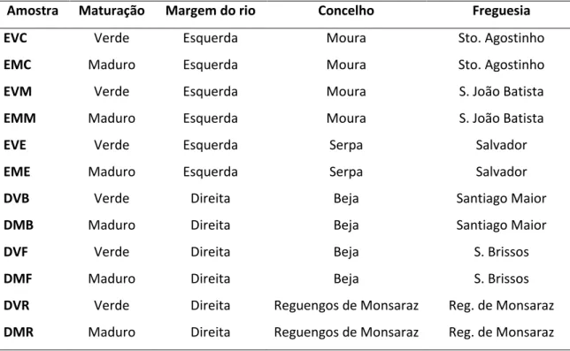 Tabela 8 Codificação das amostras de azeite virgem extra extraídas da cultivar Galega vulgar  em dois estados de maturação em lagares das margens esquerda e direita do rio Guadiana 