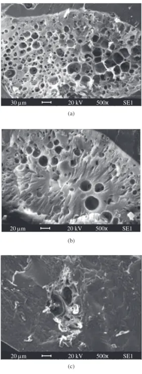 Figure 7. a) Scanning electron micrograph of chitosan microspheres, modified  with epychlorohydrin; b) Scanning electron micrograph of chitosan  micro-spheres, modified with glutaraldehyde; and c) Scanning electron micrograph  of chitosan microspheres, mod
