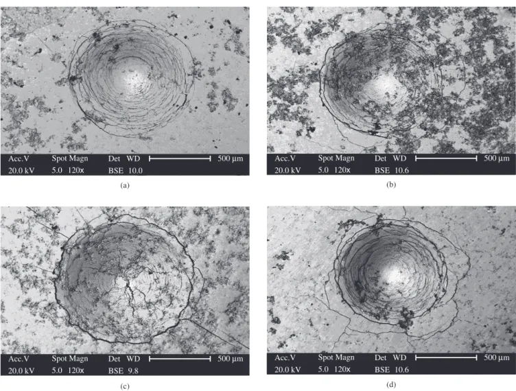 Figure  13. Cross  section  of  sample W10  after  immersion  in  3.5%  NaCl  solution for 30 hours
