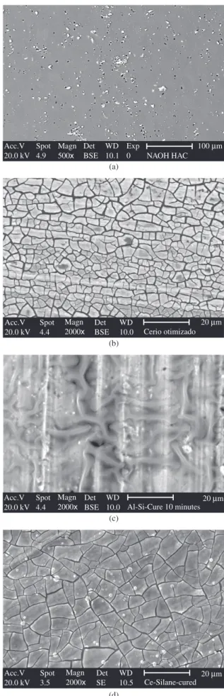 Figure 2. SEM micrographs of the AA 2024-T3 alloy after the ultrasonic bath. 
