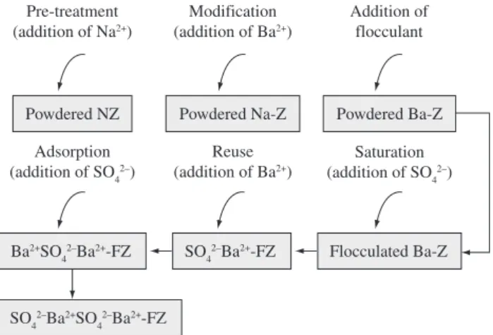 Figure 1. Staged reuse studies of saturated flocculated zeolites as “adsorbents”. 