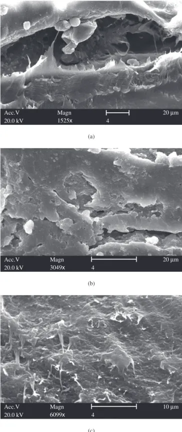 Figure 8. DSC thermogram of PAni/LDPE blend with 5 wt. (%) PAni.