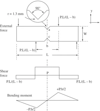 Figure 1. Loading configuration showing the free-body, the external force  diagram, the shear-force diagram, and the bending moment diagrams along  the longitudinal axis of the specimen.
