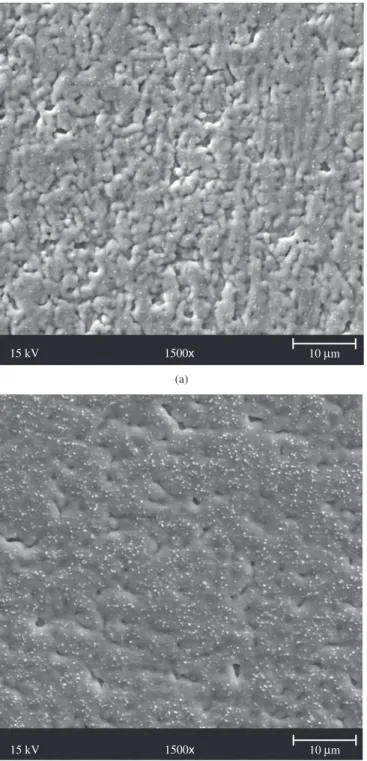 Figure 7. SEM micrographs of surface appearances of oxidized samples for  48 hours in air at a) 600 °C; and b) 650 °C.