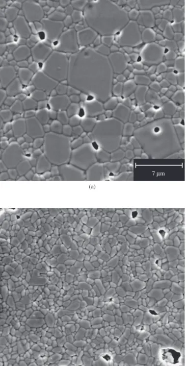 Figure 10. Microstructure observed by SEM of pellets sintered at 900 °C for  2 hours: a)  α -BZN; and b)  β -BZN.1101001000012345 Volume (%)Particle diameter ( m)Smallagregates Big aggregates-BZN-BZN