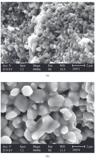 Figure 3. Secondary electron image of HDDR material prepared from the  homogenized alloy: a) Pr 14 Fe bal Co 16 B 6 Nb 0.1 P 0.1 ; and b) Pr 14 Fe bal Co 16 B 6 Nb 0.1 Cu 0.1 (fracture surface).Acc