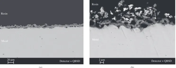 Figure 6. Cross section of Fe-20Cr after 15 cycles of oxidation in air at 1000 °C. a) Uncoated; and b) LaCrO 3  coated.