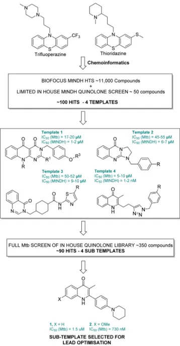 Figure 3. Identiﬁcation of the quinolone template for lead optimization.