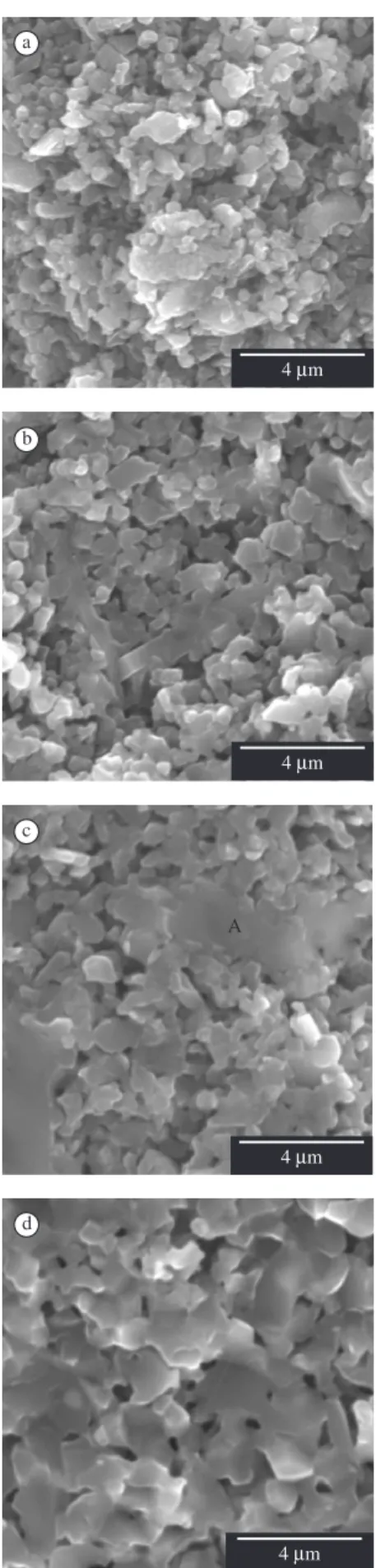 Figure 3. SEM images of: a) AlN-2% CaO sintered at 1600 °C for 7 minutes; 