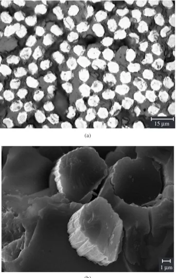 Figure 6. a) Optical; and b) SEM micrographs of the CMC obtained from  MTES-derived PBS (B/Si = 0.2).
