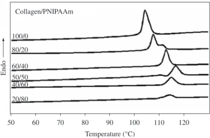 Figure 1. DSC  curves  of  uncross-linked  and  non-dried  samples.  Stainless  steel pans; heating rate of 5 °C/min.
