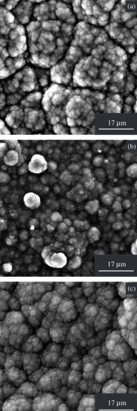 Figure 5 also shows that the cauliflower structure in the PPy films  deposited from oxalic acid was smaller than those observed in the  PPy films formed in citric acid, which presented a smaller structure  than the PPy electrodeposited from tartaric acid