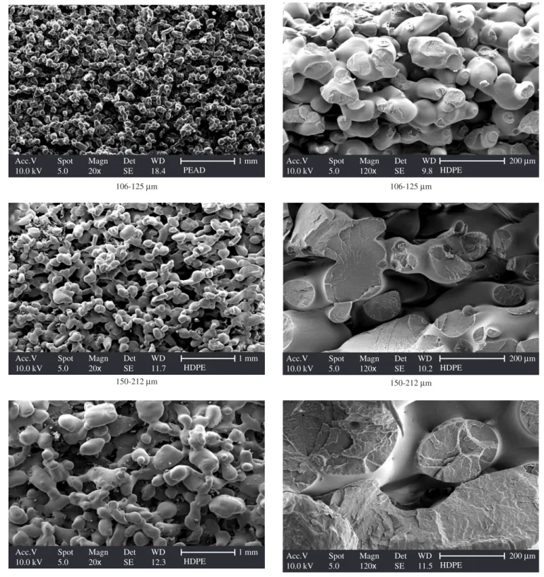 Figure 1 shows the micrographs of the HDPE specimen surface  and its cryogenic fracture