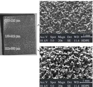 Figure  4  shows  the  part  with  a  pore  size  gradient  (100  up  to  500 µm), which was obtained by laser sintering using the processing  parameters previously defined