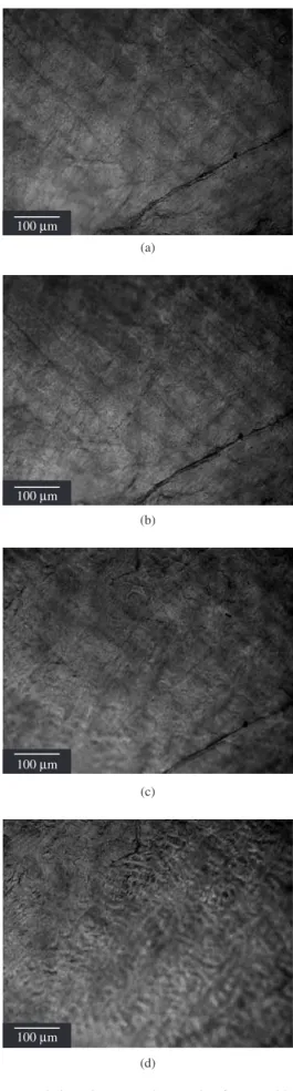 Figure 4. Freeze-drying microscope photographs of untreated bovine peri- peri-cardium at different temperatures: a) 30.9 °C; b) 40.4 °C; c) 50.5 °C; and d)  60.5 °C