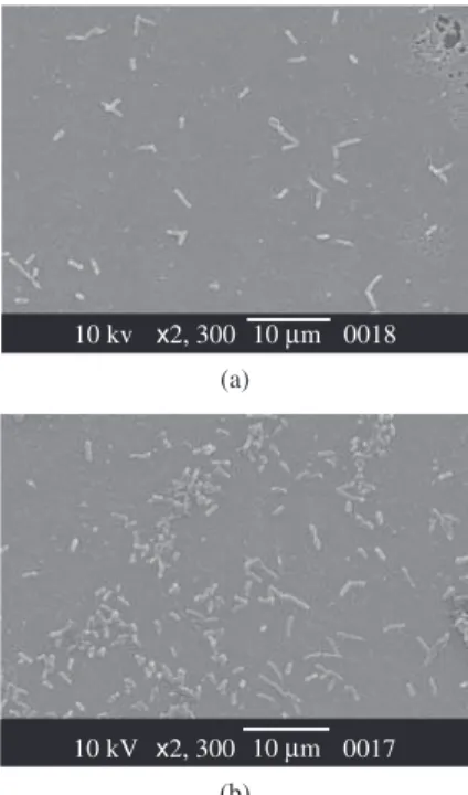 Figure 1. AFM image (contact mode, 50  x  50 µm 2 ) of rough surface of Si  showing the box-like holes.