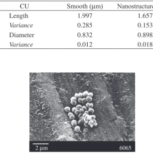 Table 2. Average size of P. fluorescens attached to Cu substrates.
