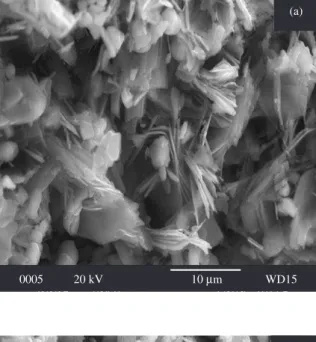 Figure 2. SEM micrographs of the fracture surface after sterilization. a) EtO; 