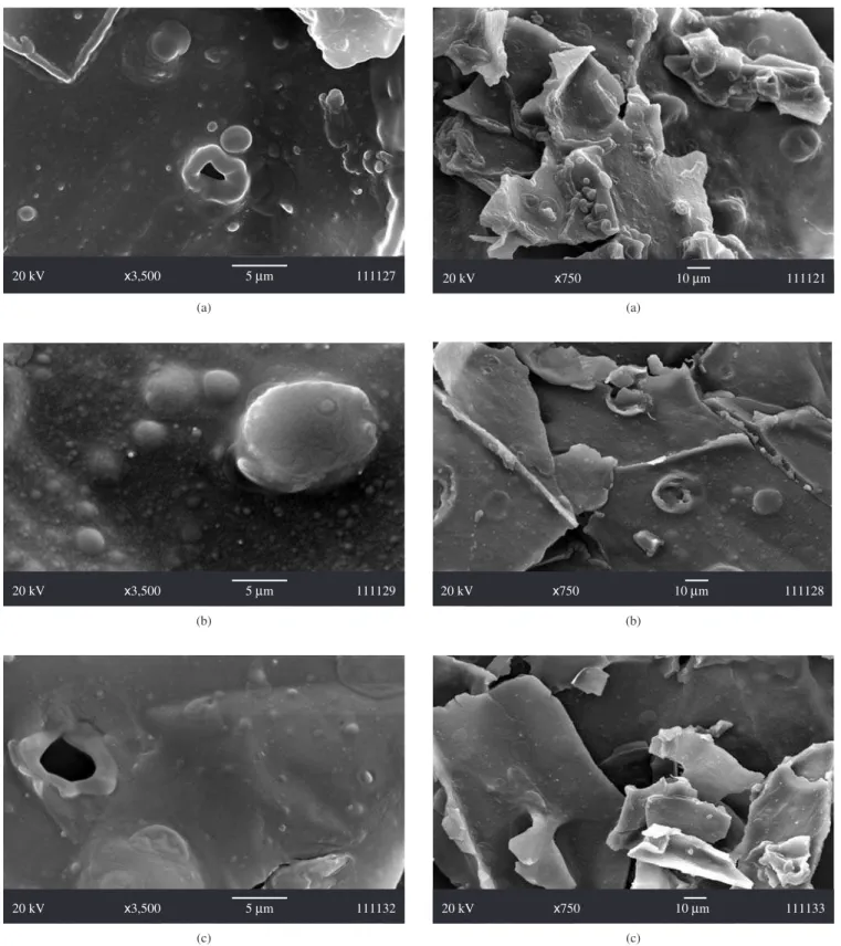 Figure 3. Scanning electron micrograph of the glassy food model at 25 °C. 