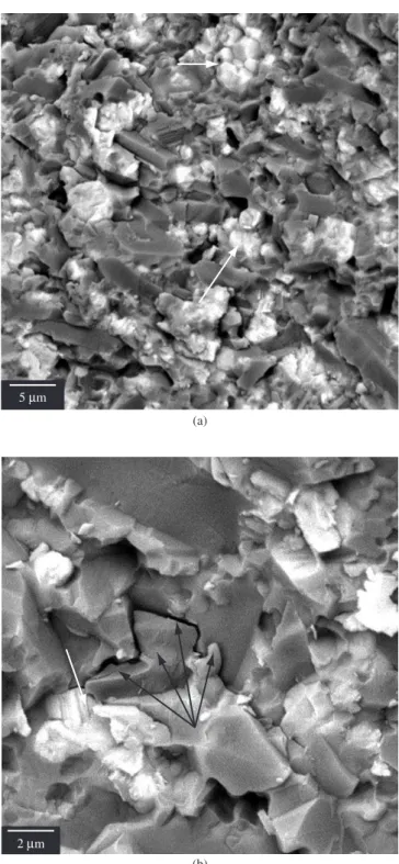 Figure 7.  Scanning electron micrograph of an iniltrated ZTA fractured sample. 