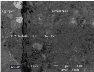 Figure 1. SEM-BSE images of ITZ perpendicular lines.