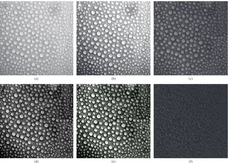 Figure 5. Images produced by various models of illumination adjustments: a) OR, b) EQU, c) WTH, d) EQU+WTH, e) EQU+WTH+EQU and f) SOB im- im-ages
