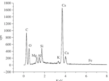 Figure 3 presents the SEM analysis of the flexible polyurethane  foams containing 21% of calcium carbonate