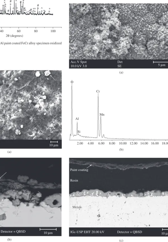 Figure 10. a) surface; and b) cross section of the Al paint + Y 2 O 3  coated FeCr  specimen oxidized for 200 hours at 1000 °C