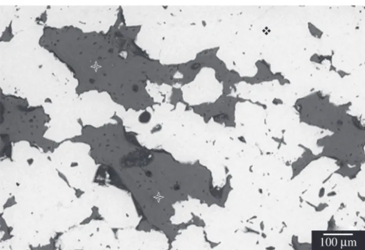 Figure 8. SEM photomicrograph of porous titanium scaffold () 8 weeks  after implantation: pore filled with bone ().