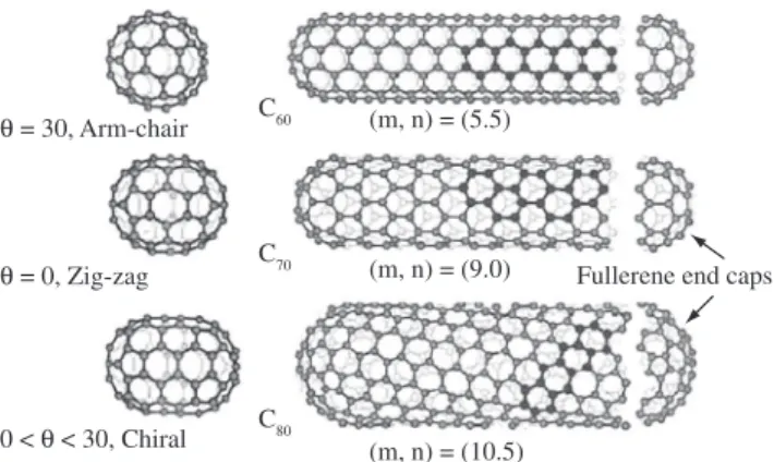 Figure 4 shows the model mesh for each SWNTs group, and it also  indicates  the  boundary  conditions  applied