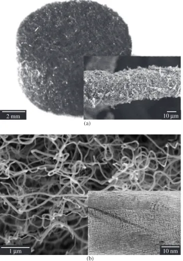 Figure 1. a) Image of a carbon felt composite with the surface re-covered by  carbon nanofibers; and b) SEM image of carbon nanofibers with homogeneous  diameters and detail of its fishbone structure.