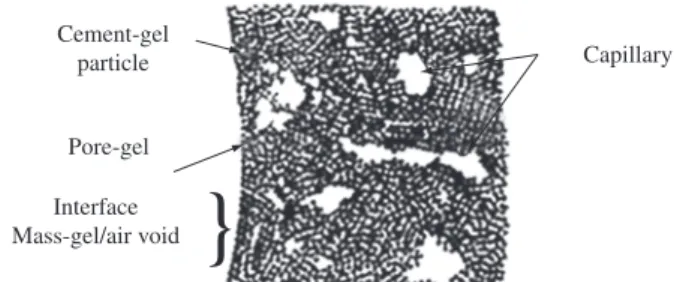 Figure 1. Cement paste structure. Source: Powers e Helmuth 2 . 