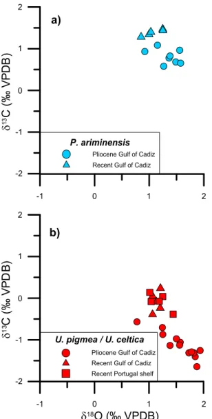 Fig. 4. Pliocene and Recent isotopic composition of a) P. ariminensis and b) U. pigmea (Pliocene) and U