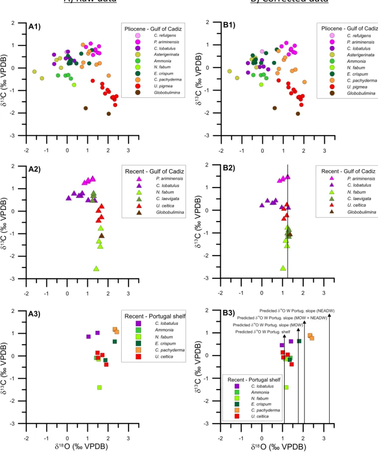 Fig. 2. Isotopic composition on A) raw data of A1) Pliocene samples from IODP Hole U1387C, A2) Mudline (Recent) samples from IODP Sites U1386, U1387 and U1389 in the Gulf of Cadiz (IODP Expedition 339) and the Guadiana shelf samples (CRIDA cruises), A3) Re