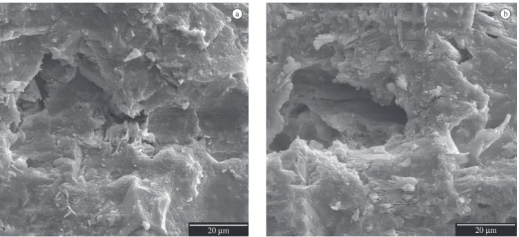 Figure 1. SEM micrographs: a) reference sample; and b) sample cured with Ca(OH) 2  aqueous solution (30 mmol/L)