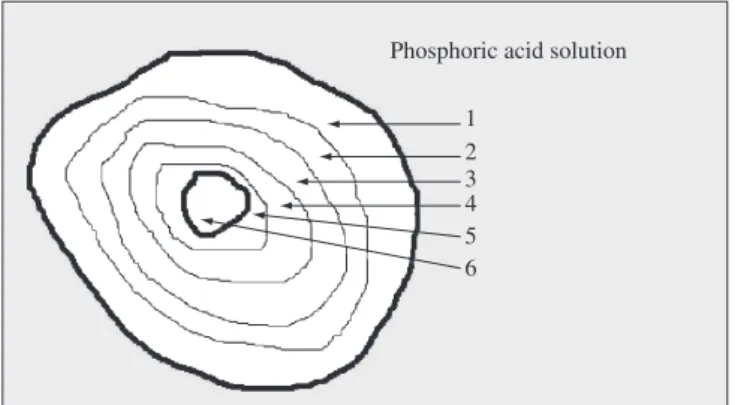 Figure  1.  Partially  reacted  Ca(OH) 2   grain  structure  with  concentration  gradient layers