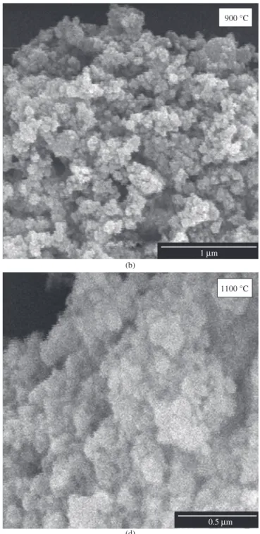 Figure 8. SEM analysis of the samples LaFe 0.90 Mn 0.08 Mo 0.02 O 3 (25%)/Al 2 O 3  before reduction and after reduction at 900, 1000 and 1100 °C