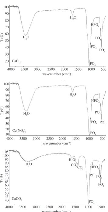 Figure 4. XDR pattern of carbonated oxygenated apatite after calcination at  900 °C for 2 hours.