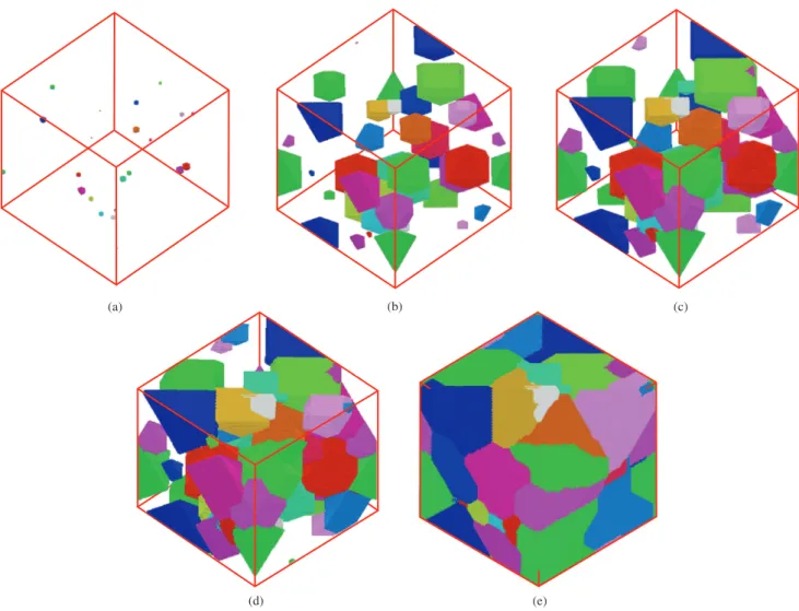Figure 1. CA simulated microstructures of the recrystallization of an iron single crystal studied by Vandermeer and Rath 3 