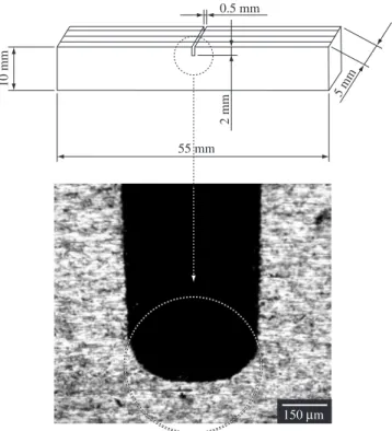 Figure 1 shows the final microstructure of TiGr laminate after a ther- ther-mal stress relief cycle applied after the hot consolidation process.