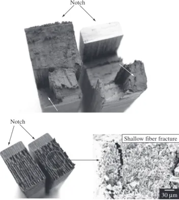 Figure 6. C-Ep fracture surfaces created under identical impact testing condi- condi-tions: a) TP fiber architecture; b) FA fiber array; and c) detailed view of (b).