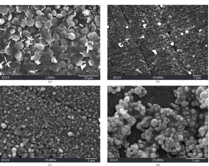 Table 1. Experimental conditions for BSA encapsulation with the different matrixes.